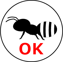 アリ：OK