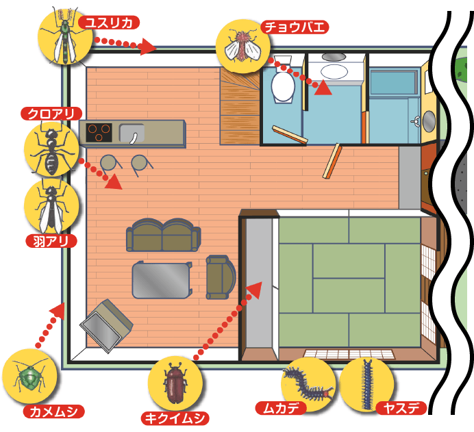 ユスリカ/チョウバエ/クロアリ/羽アリ/カメムシ/キクイムシ/ムカデ/ヤスデ