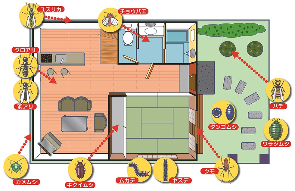 屋内:ユスリカ/チョウバエ/クロアリ/羽アリ/カメムシ/キクイムシ/ムカデ/ヤスデ 屋外:ハチ/ダンゴムシ/ワラジムシ/クモ
